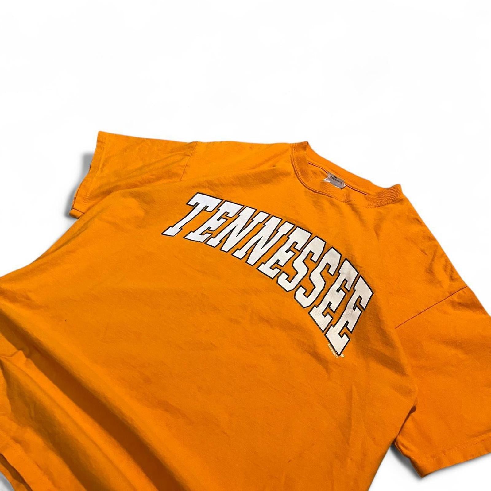 Vintage Y2K Tennessee University Volunteers T-Shirt Anvil 376c7f45-13d5-408b-a06a-468be34f63b1