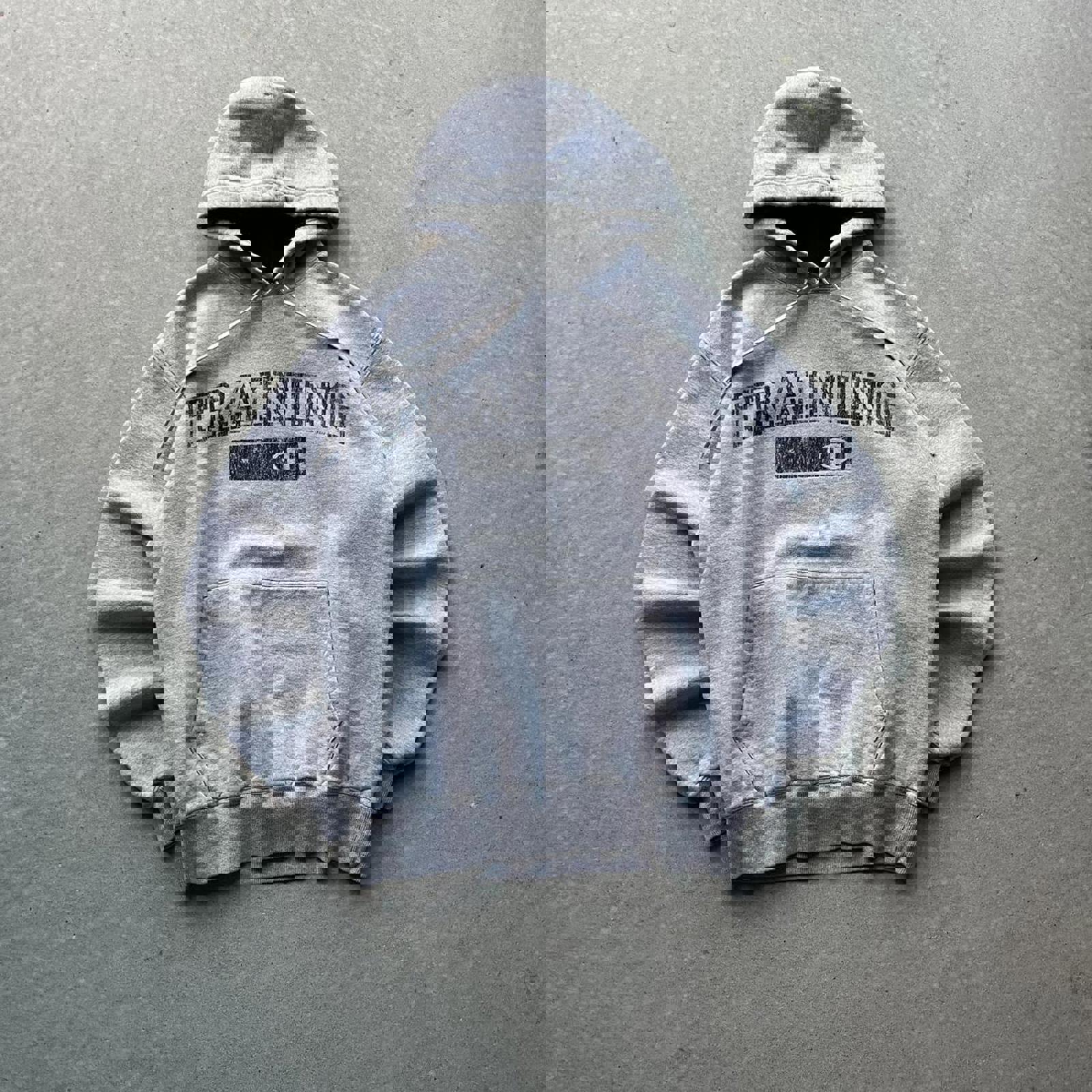 Vintage Y2K Heavy Champion Training Hoodie