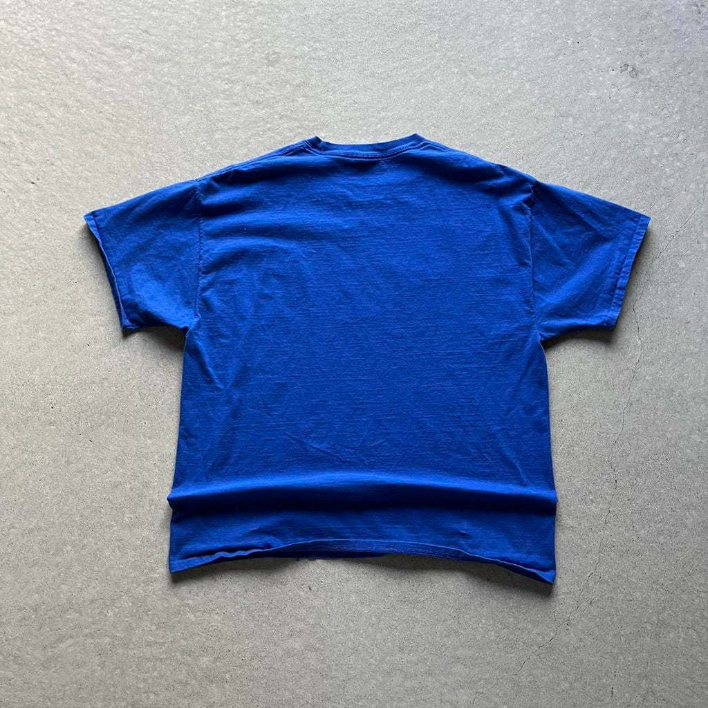 Vintage Clothing Vintage Y2K St. Louis Blues NHL T-Shirt Hanes - uptwn vintage - 6d2469de-7cee-4fef-b22d-0db55456948f