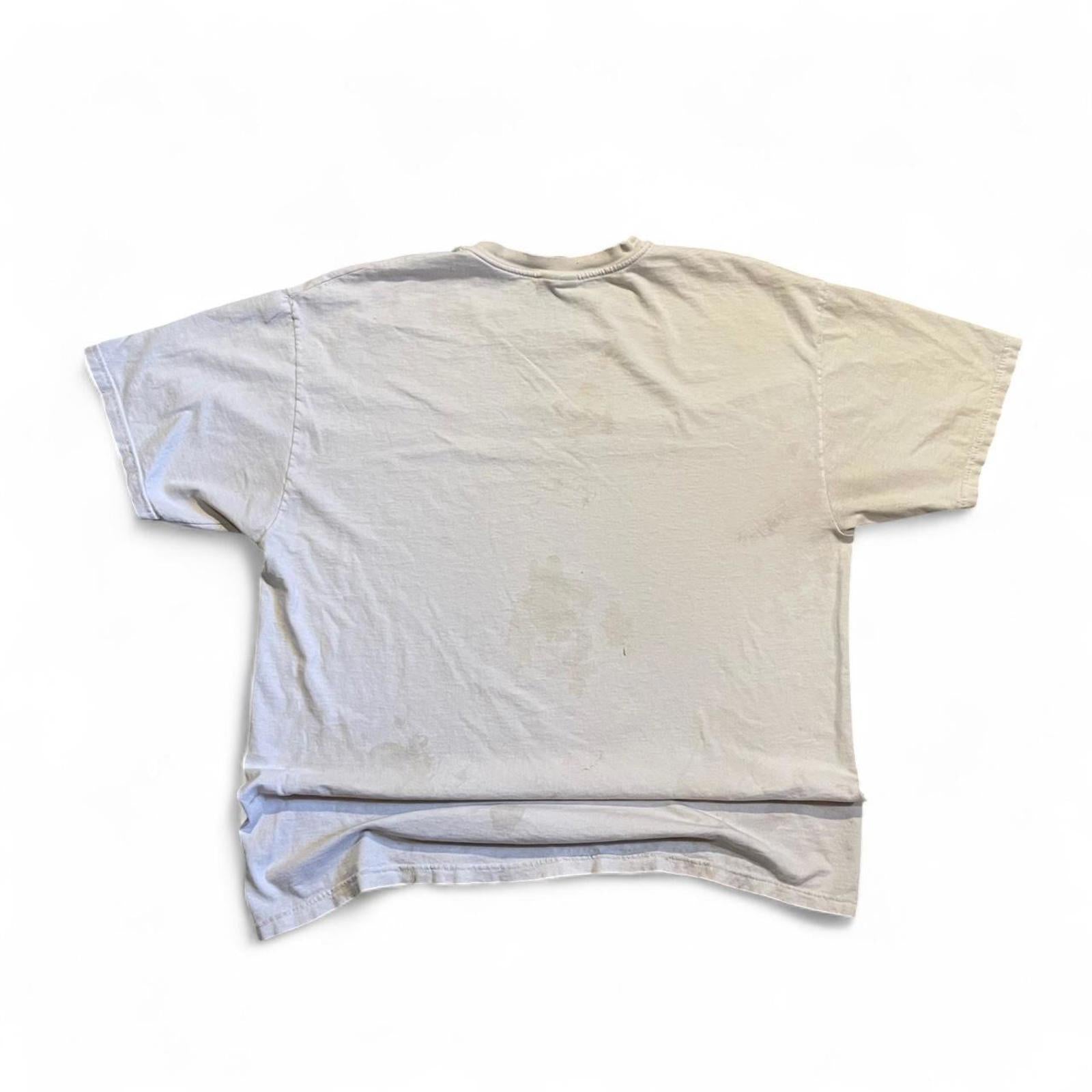 Vintage Thrashed 2000 Race For The Flag NASCAR T-Shirt Hanes - uptwn vintage - 7496f585-6d57-4e27-b889-f5763ee48093