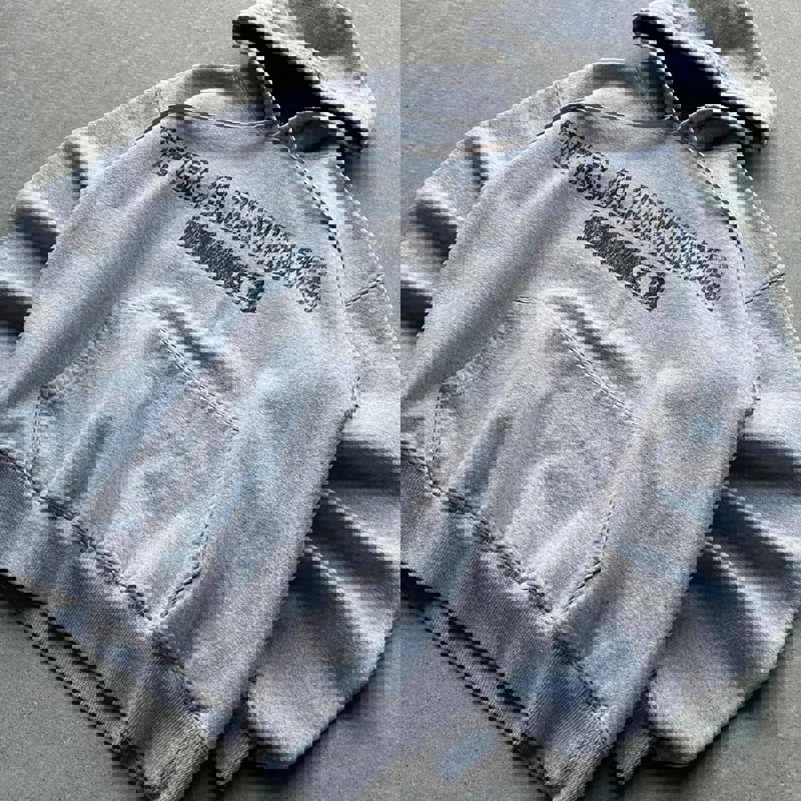 Vintage Y2K Heavy Champion Training Hoodie