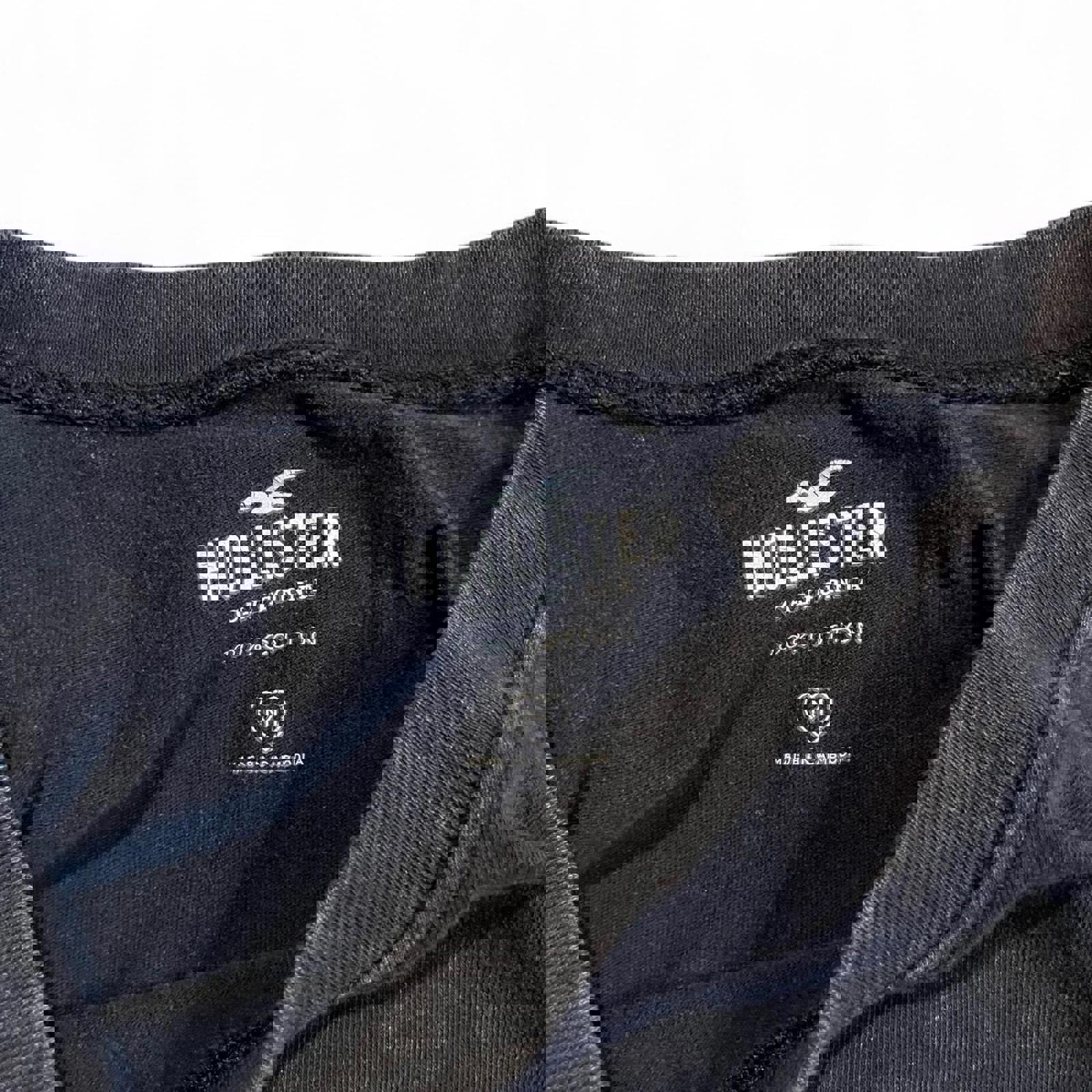 Retro Style Hollister Wolf Mountain Style Nature T-Shirt Hollister Co. 9644079f-c860-47d7-ba00-31c1e061f346