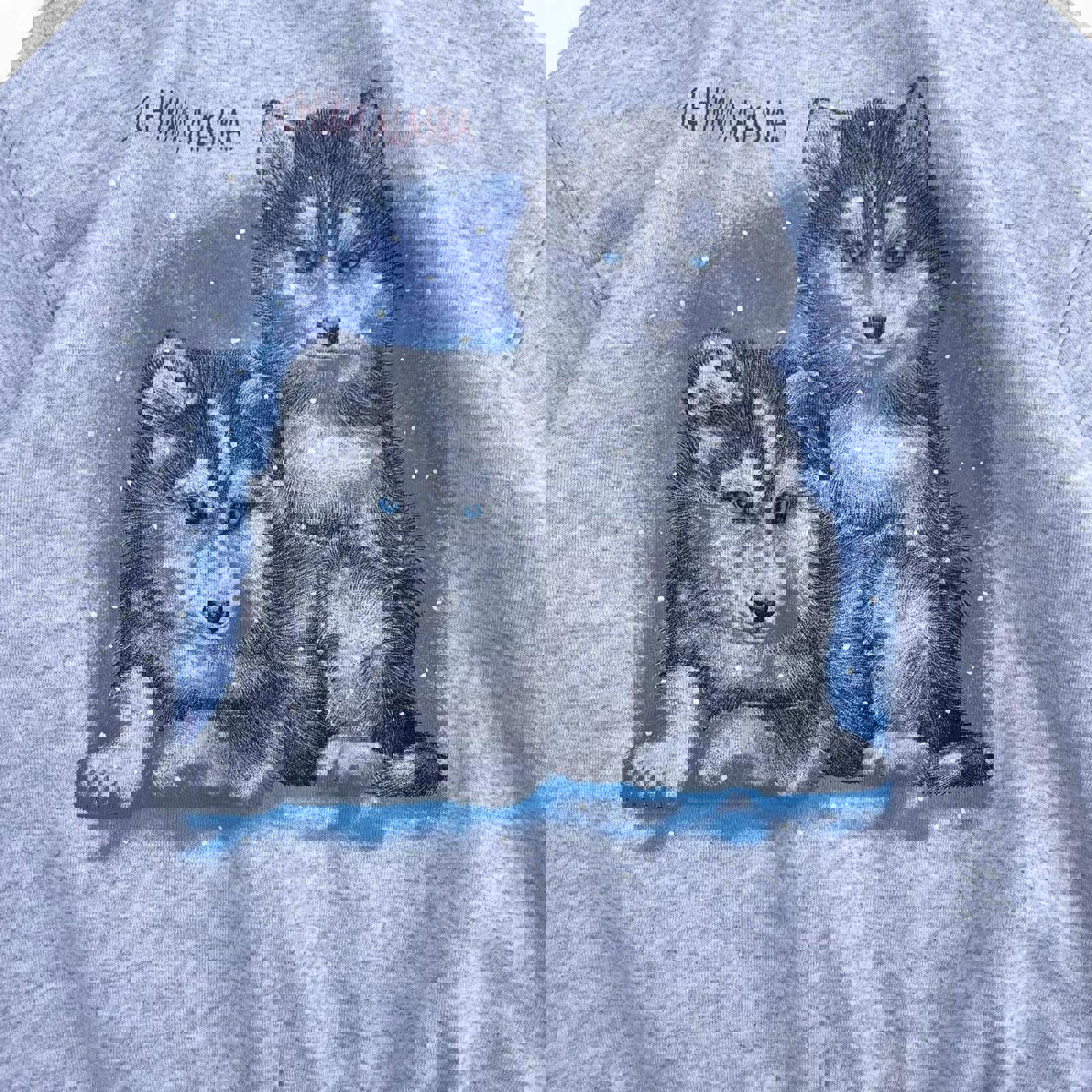 Vintage 90s Ketchikan Alaska Husky Dog Nature Crewneck American Vintage - uptwn vintage - a00c0098-165b-4ec7-9fa7-e2460e9efdaa