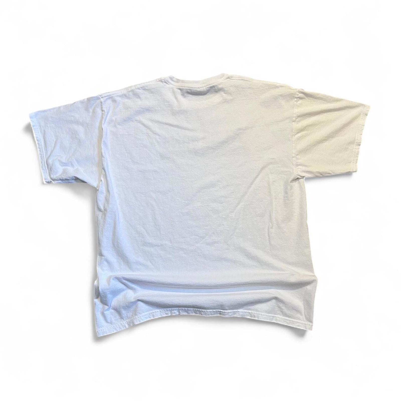 Vintage Y2K Dragons Baseball T-Shirt Gildan a449fac5-dd11-4aae-bae0-397c7ff4b4bc