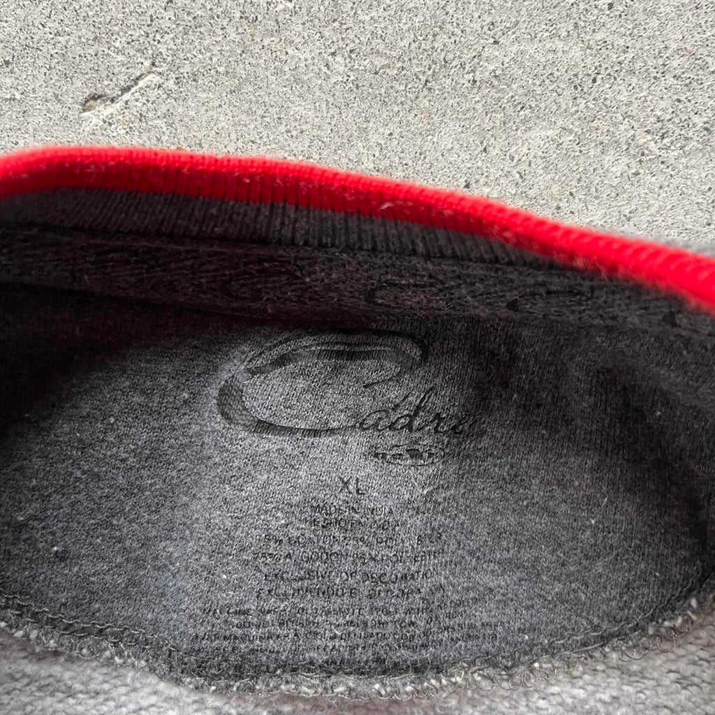 Vintage Y2K Embroidered University Of Wisconsin Sweatshirt