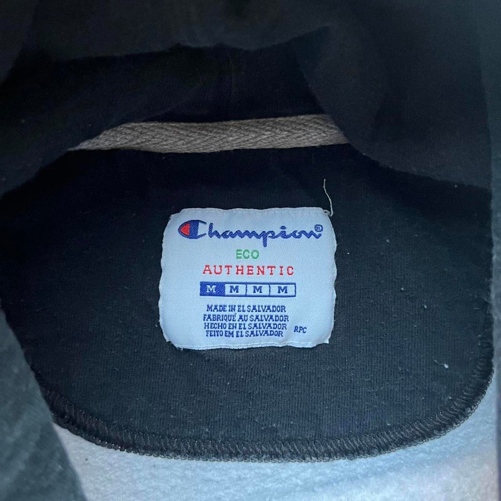 Vintage Y2K Heavy Champion Training Hoodie