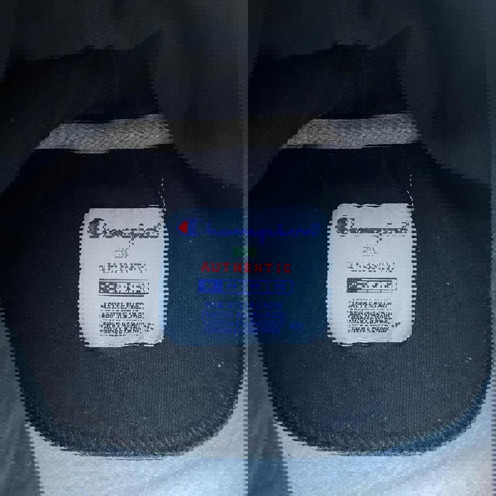 Vintage Y2K Heavy Champion Training Hoodie